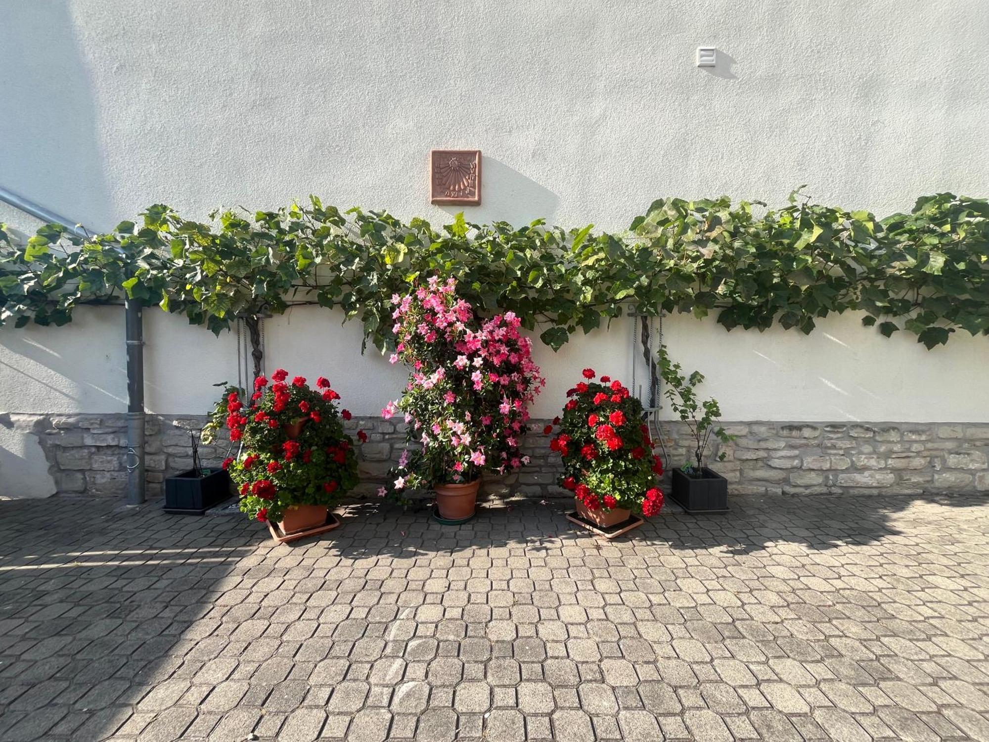 Zimmervermietung Barth Bernburg  Exterior foto